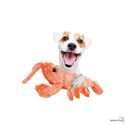 Claw & Paw Lobster™